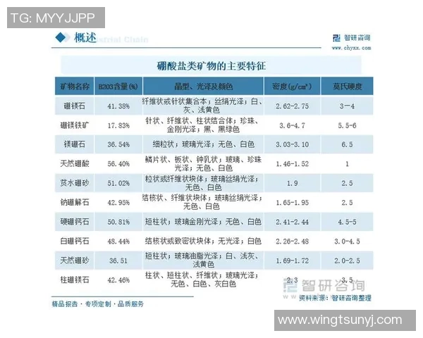 深入解析足球比分背后的数据与趋势助你精准预测比赛结果 深入解析足球比分背后的数据与趋势助你精准预测比赛结果
